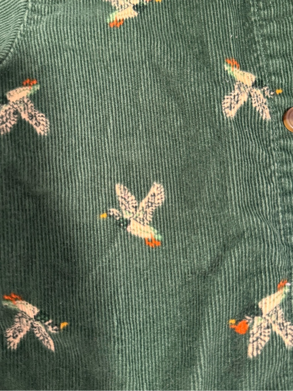 Old Navy Forest Green Corduroy Button-Down Shirt with Ducks! Size 18-24 - Picture 4 of 4